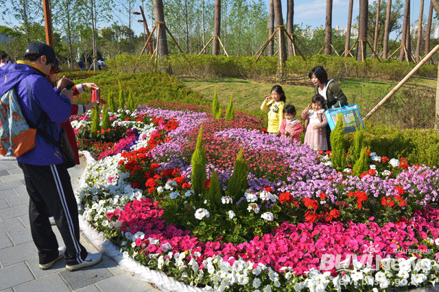 부산시민공원 곳곳에 조성한 꽃밭.