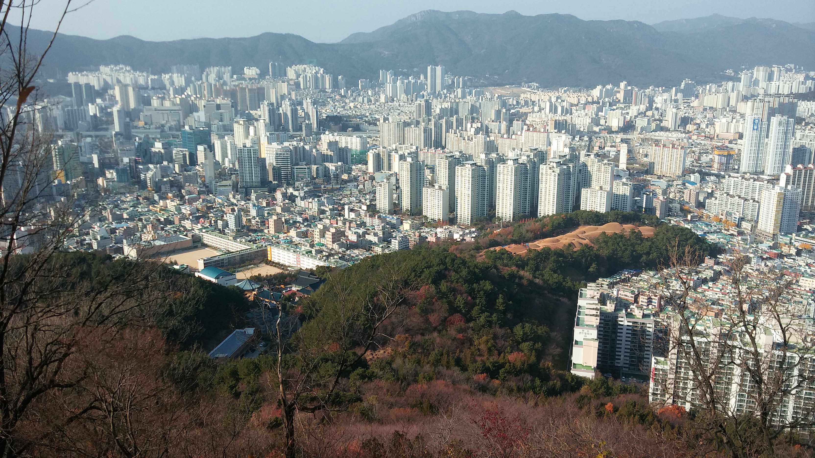 배산