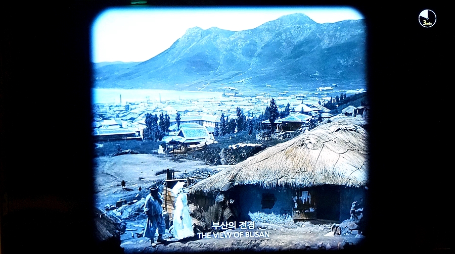 SE-2277403f-7146-4192-b89c-cde5281e3d87