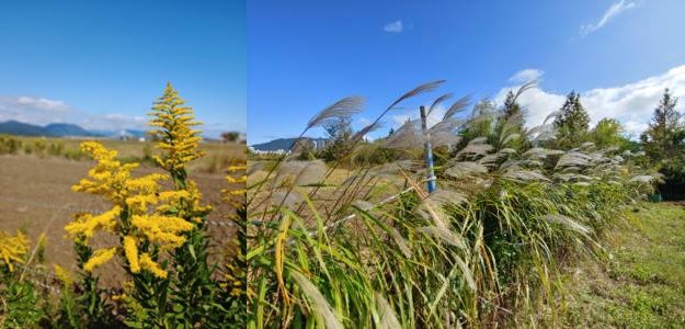 20191019_102814-horz