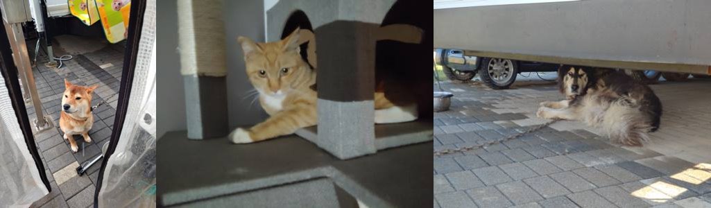 20191018_151744_HDR-horz