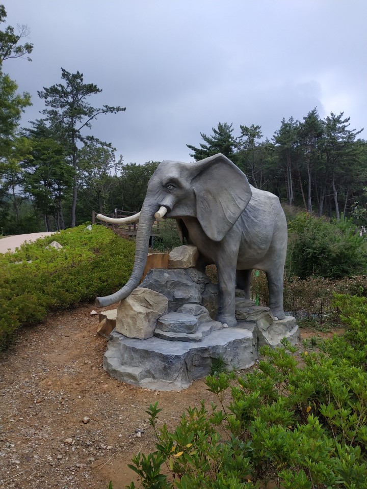 KakaoTalk_20200704_221825312