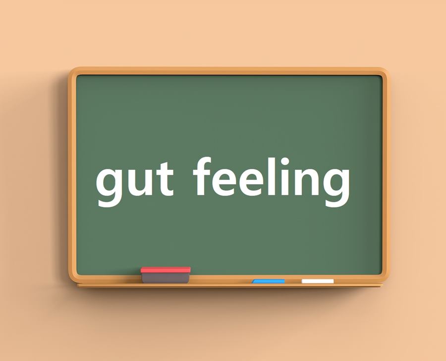 [Study with Daily Busan] gut feeling