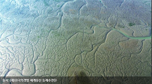 한국의 갯벌 [Getbol, Korean Tidal Flat] 이미지1