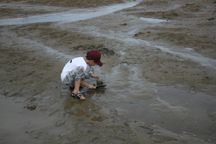 갯벌체험 (낙동강하구에코센터 여름방학특집 프로그램) 사진1