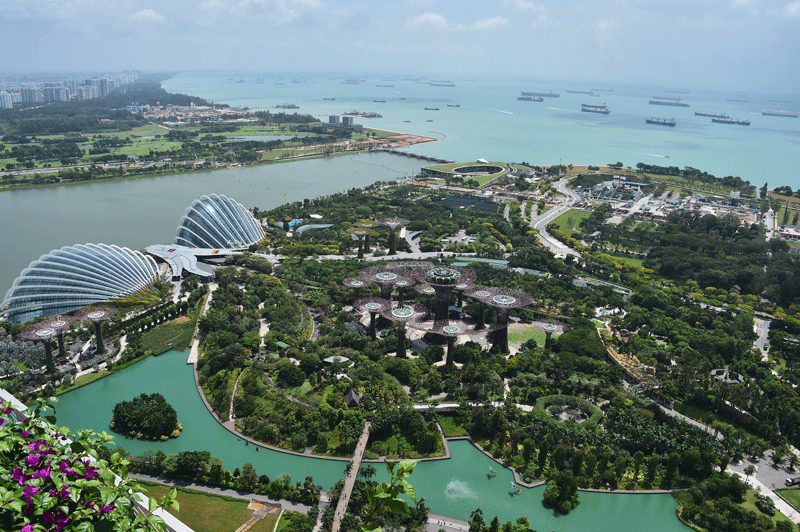 마리나베이샌즈에서 바라본 싱가포르 항구 일대 모습.
