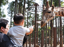 부산 동물원 ‘더 파크’ 25일 문 연다 기사 이미지