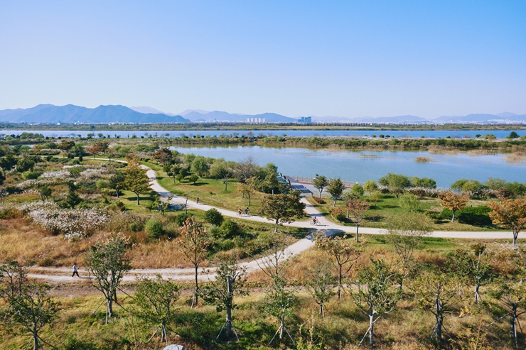 봄 오는 낙동강변으로 자연, 예술 그리고 책 탐험 가자 기사 이미지