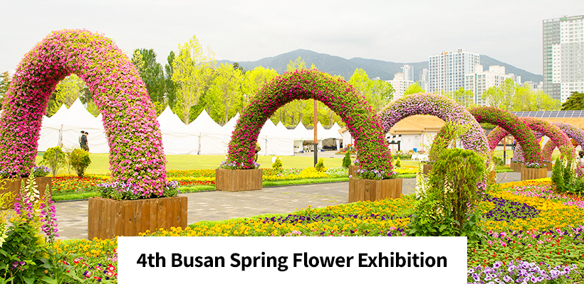 4th Busan Spring Flower Exhibition 관련 이미지