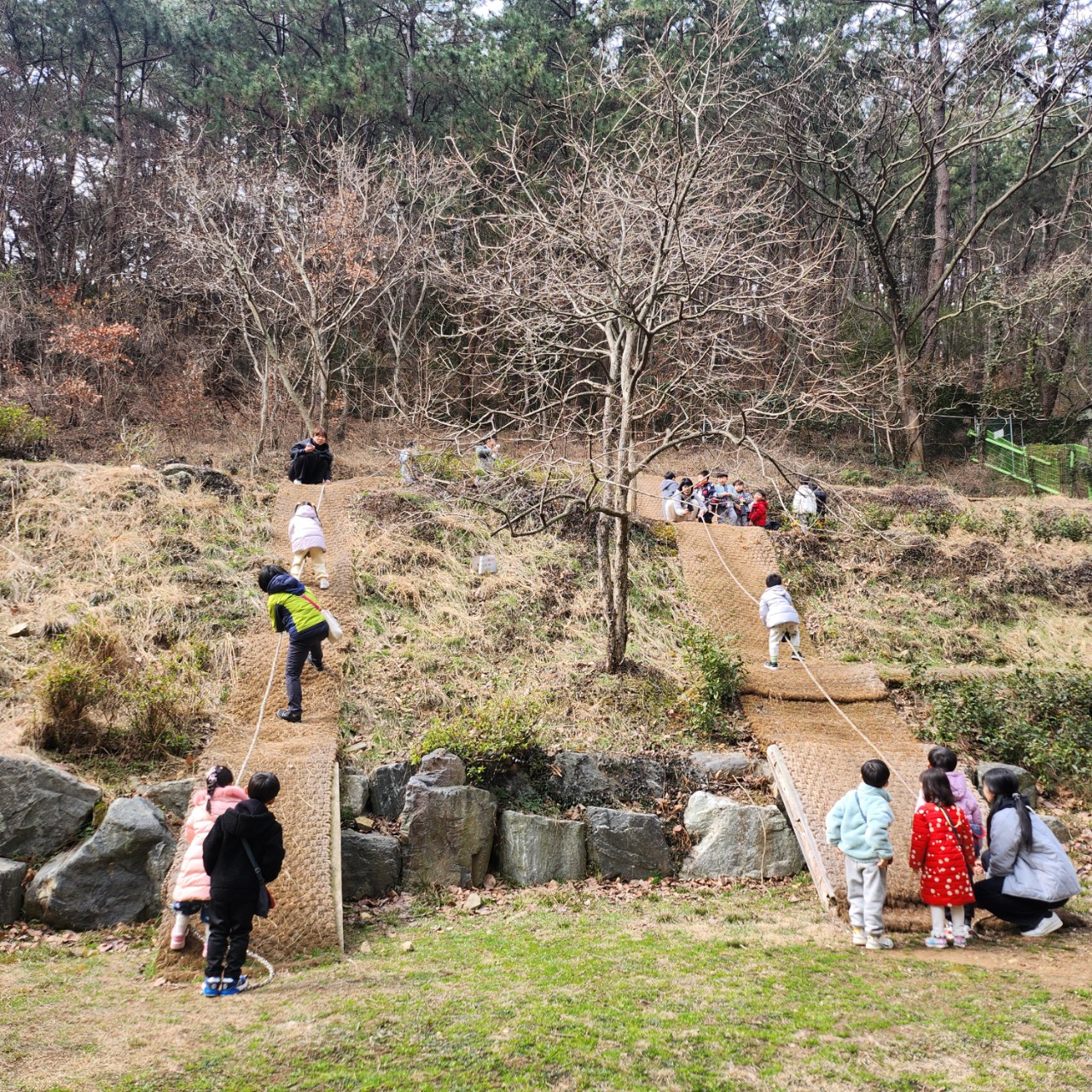 🎈신나는 숲소풍! (유아 정기 숲유치원) 사진3