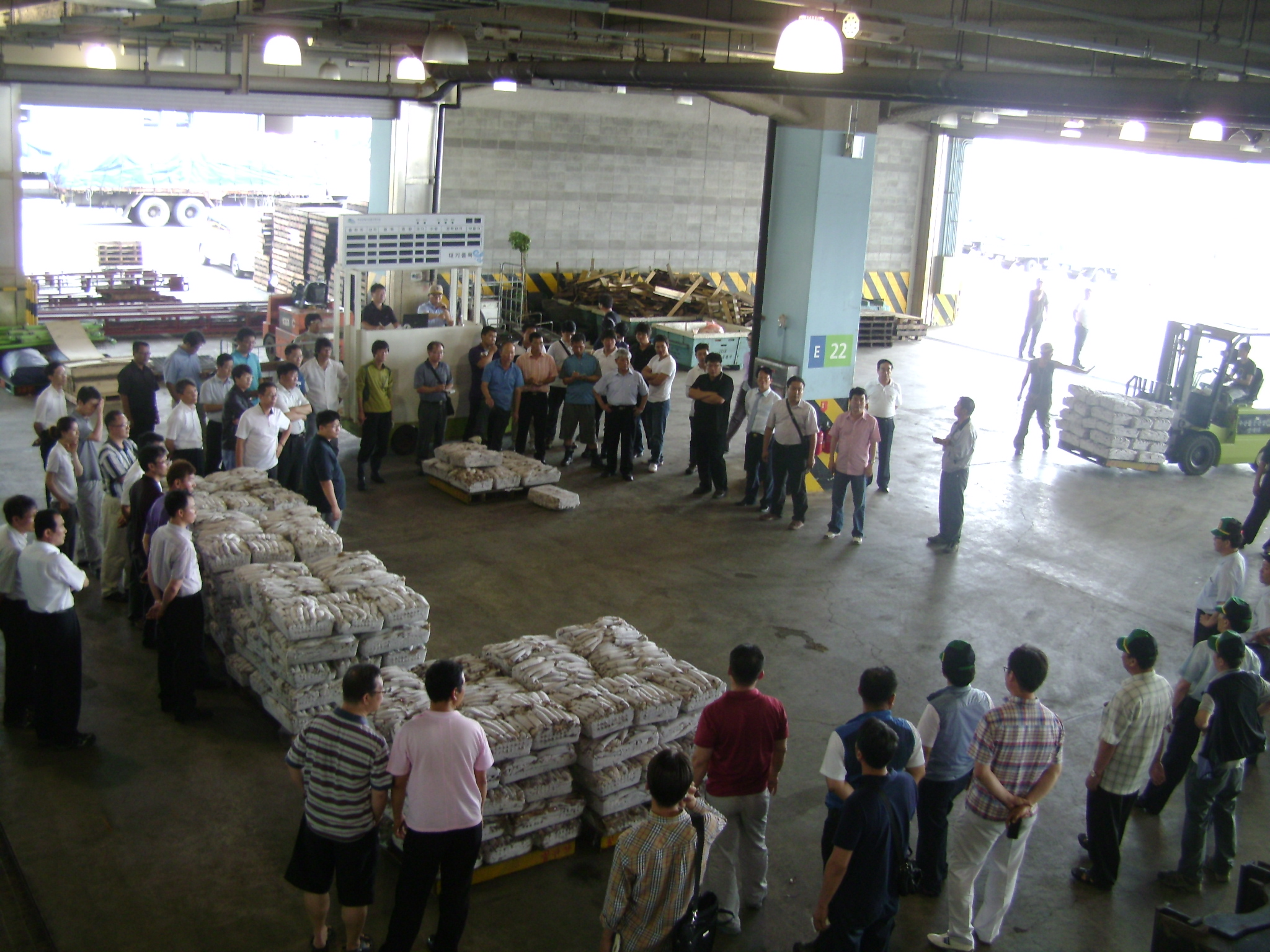 2011년도 오징어 첫 경매 현장