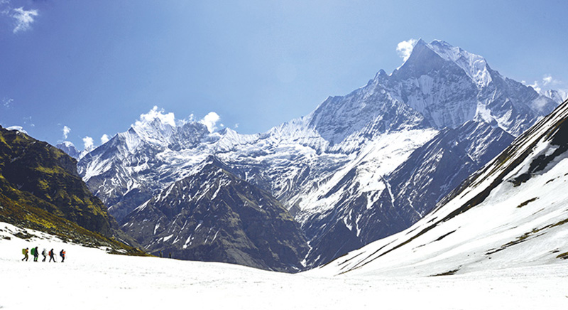 해발고도 6천993m의 마차푸차레는 히말라야의 마아다블람과 알프스의 마터호른과 함께 세계 3대 미봉으로 불린다(사진은 마차푸차레를 보며 걷는 트레커들 모습).