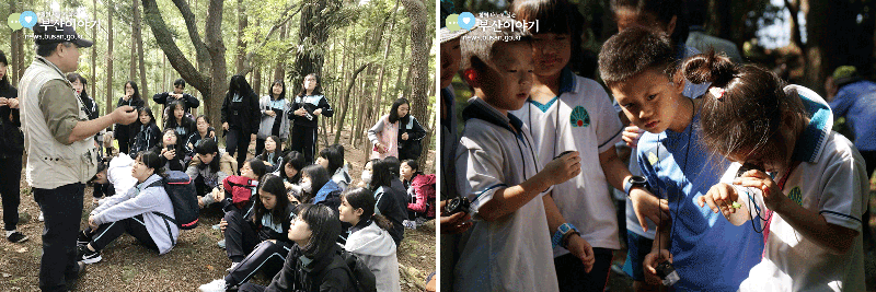 사진은 도심공원에서 숲해설을 듣고 생태탐방을 즐기는 학생들 모습.