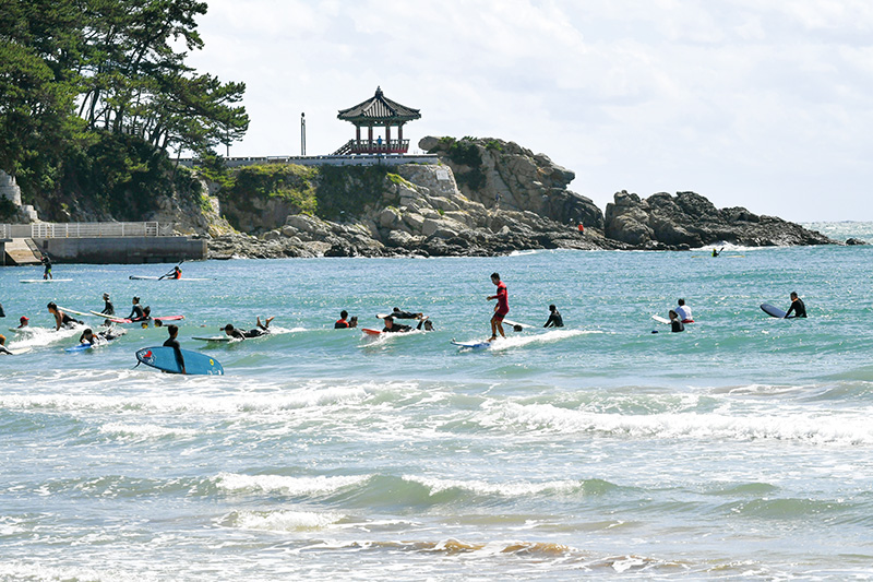 송정해수욕장은 ‘서핑의 성지’로 불린다.