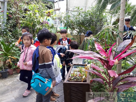 부산시어린이회관은 6월 한 달 동안 어린이들이 생태계의 아름다움과 최신 과학을 체험할 수 있도록 다채로운 특별 프로그램을 마련했다.사진은 어린이식물원에서 관찰하는 아이들.