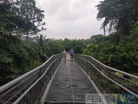 싱가포르 시민들의 산책로 서든리지스