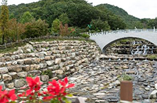 Busan Hwamyeong Arboretum photo