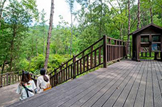 Busan Healing Forest