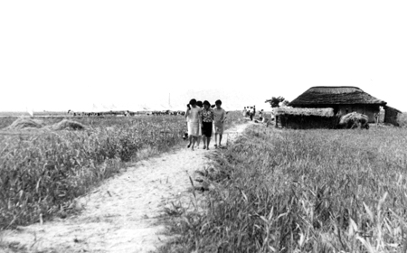 갈대밭 마을축제 (1970, 낙동강하구 갈대밭 평원에서 마을잔치가 열리고 있는 모습)