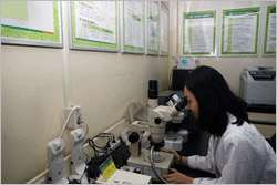 식물종합병원 전경 1 사진