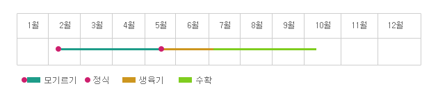 연간재배형태 2월~5월 : 모기르기, 2월, 5월 : 정식, 5~7월초 :생육기,7월~10월초 : 수확