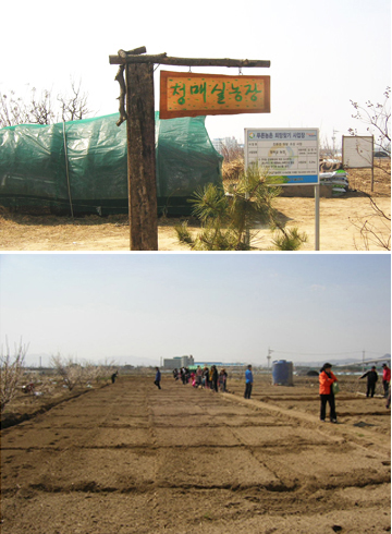 청매실농장 이미지