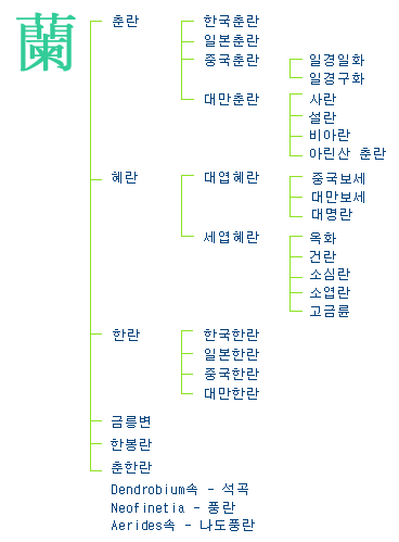 동양란의 계통 : 춘란, 한국춘란, 일본춘란, 중국춘란, 일경일화, 일경구화, 대만춘란, 사란, 설란, 비아란, 아린산 춘란, 혜란, 대엽혜란, 중국보세, 대만보세, 대명란, 세엽혜란, 옥화, 건란, 소심란, 소엽란, 고금륜, 한란, 한국한란, 일본한란, 중국한란, 대만한란, 금릉변, 한봉란, 춘한란, Dendrobium속 석곡, Neofinetia 풍란, Aerides속 나도풍란진
