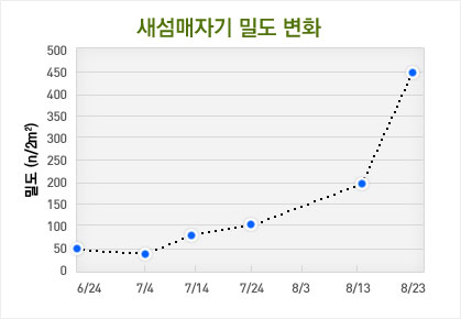 새섬매자기 밀도 변화 그래프