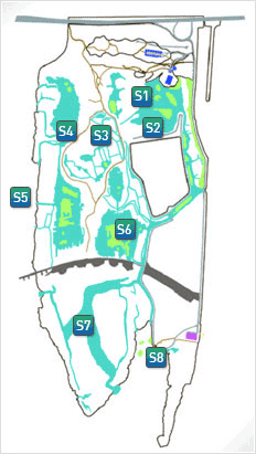 조사지점을 나타낸 이미지 : 조사지점 출현종수 비고 
s1 21 '02~'04 복원지
 s2 13 '09. 4. 습지개선지 
s3 21 '09. 8. 습지개선지
 s4 29 '03~'05 복원지
 s5 27 을숙도 서편 자연습지 
s6 29 '03~'05 복원지 
s7 30 '1997년 인공생태공원 조성 
s8 24  을숙도 남단