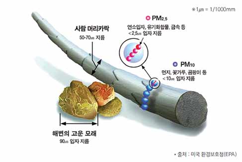 1㎛=1/1000mm 사람 머리카락 50~70㎛ 지름, 해변의 고운 모래 90㎛ 입자 지름, PM2.5 연소입자, 유기화합물, 금속 등 2.5㎛ 입자 지름, PM10 먼지, 꽃지름, 곰팡이 등 10㎛ 입자 지름 출처: 미국 환경보호청(EPA)