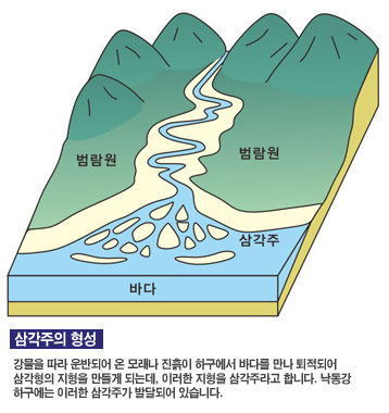 낙동강 하구의 지질층 도표. 삼각주의 형성-강물을 따라 운반되어 온 모래나 진흙이 하구에서 바다를만나 퇴적되어 삼각형의 지형을 만들게 되는데,이러한 지형을 삼각주라고 합니다. 낙동강 하구에는 이러한 삼각주가 발달되어 있습니다.