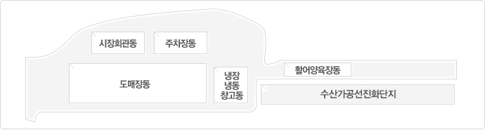 시설배치도: 시장회관동, 주차장동, 도매장동, 냉장ㆍ냉동ㆍ창고동, 활어양육장동, 수산가공선진화단지로 배치되어있습니다. 자세한 내용은 아래 표를 참고하세요.