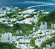사하구청