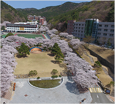 영산대학교