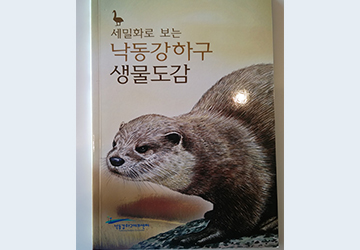 세밀화로 보는 낙동강하구 생물도감 표지 이미지