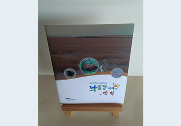 낙동강하구의 갯벌 표지 이미지