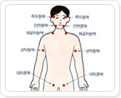동맥을 나타낸 이미지