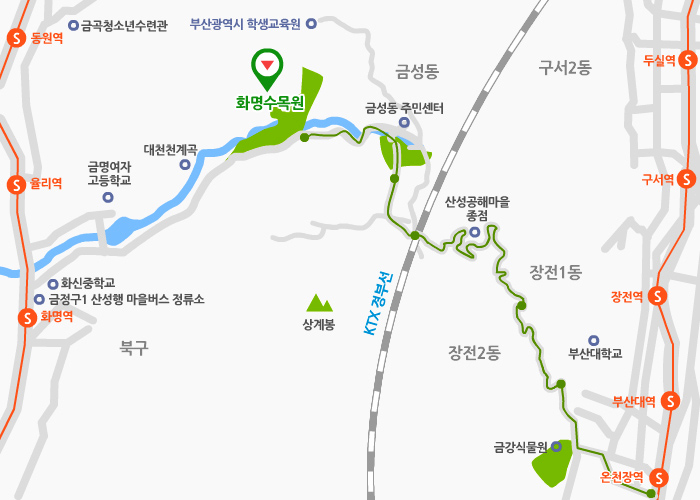 대중교통 이용시 찾아오시는 길은 다음과 같습니다.
1.북구 화명동 방면으로 오실 경우 지하철 2호선, 화명역 6번 출구로 나오셔서 마을버스 1번을 타고 오시면 화명수목원입니다.
마을 버스 1번 배차시간은 10분입니다.
2.금정구 장전동(온천장) 방면으로 오실 경우 좌석버스 203번을 타시면 됩니다.
203번 좌석버스의 배차 간격은 15분이며, 산성 공해마을 종점에서 하차 후, 마을버스 1번으로 환승 후 오시면 화명수목원입니다.
마을 버스 1번 배차시간은 10분입니다.
자가용 이용시 찾아오시는 길은 다음과 같습니다.
1.북구 화명동 방면으로 오실 경우 북구 보건소 방면으로 오셔서 애기소를 지나 오시면 화명수목원입니다. 약 7분정도 소요됩니다.
2.금정구 장전동(온천장)방면으로 오실 경우 식물원 입구를 지나 금정마을쪽으로 오시면 화명수목원입니다. 약 15분소요 됩니다.