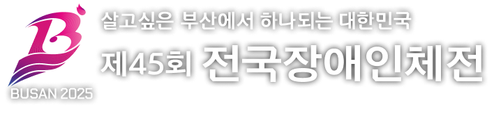 제45회 전국장애인체육대회 메인 페이지 텍스트 타이틀 (웹사이트 버전)