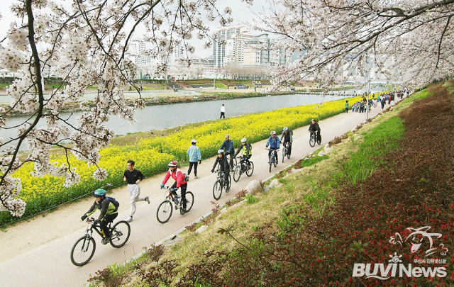 온천천에서 자전거를 타고 산책을 즐기는 시민들 모습