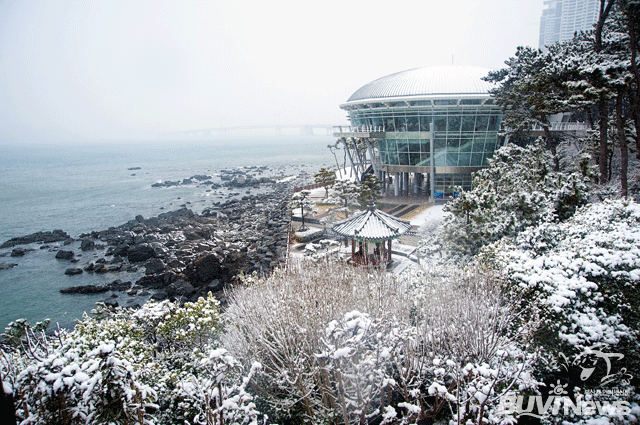 부산관광사진