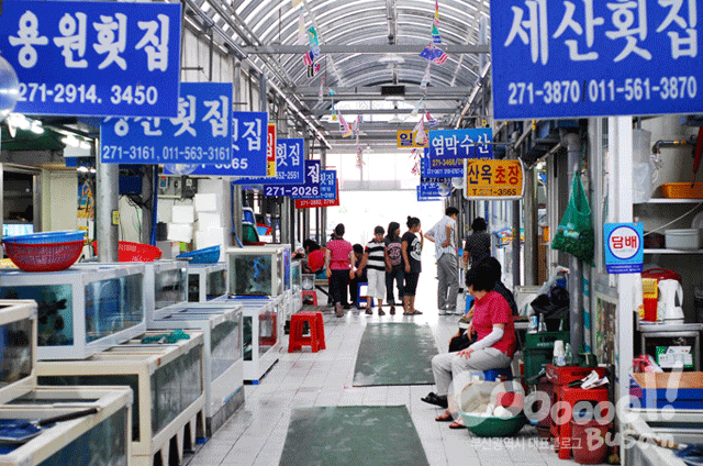 '가을전어' 찬바람 불면 만나요