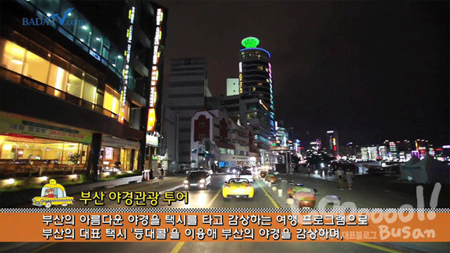 부산야경관광택시투어