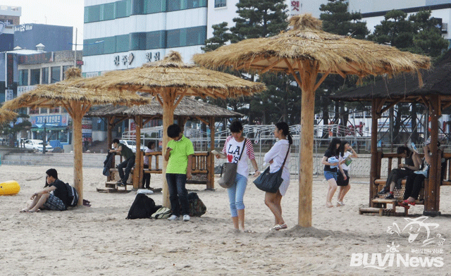 광안리 해수욕장에서 
        선보일 야자수 파라솔 이미지