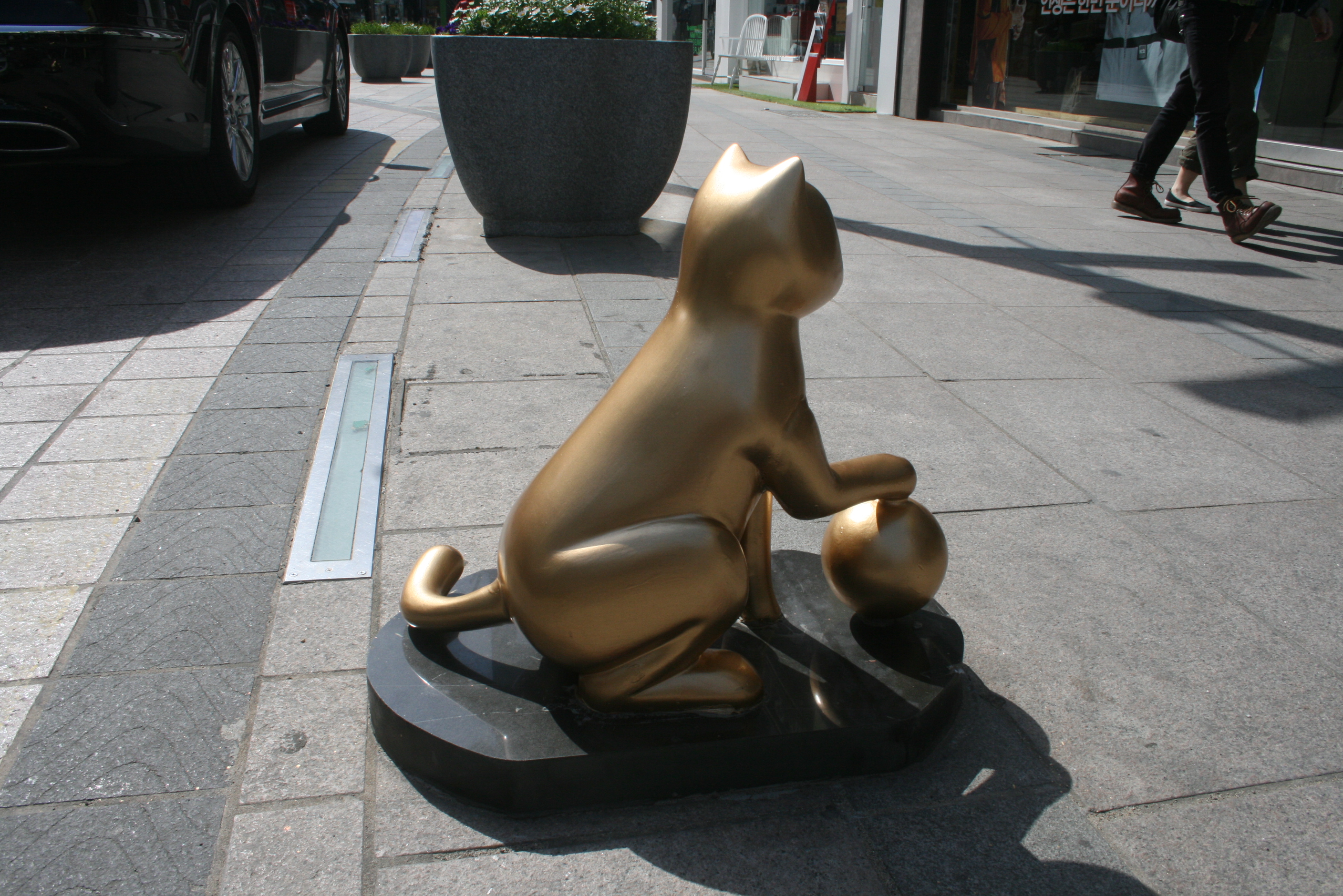 고양이 설치사진2