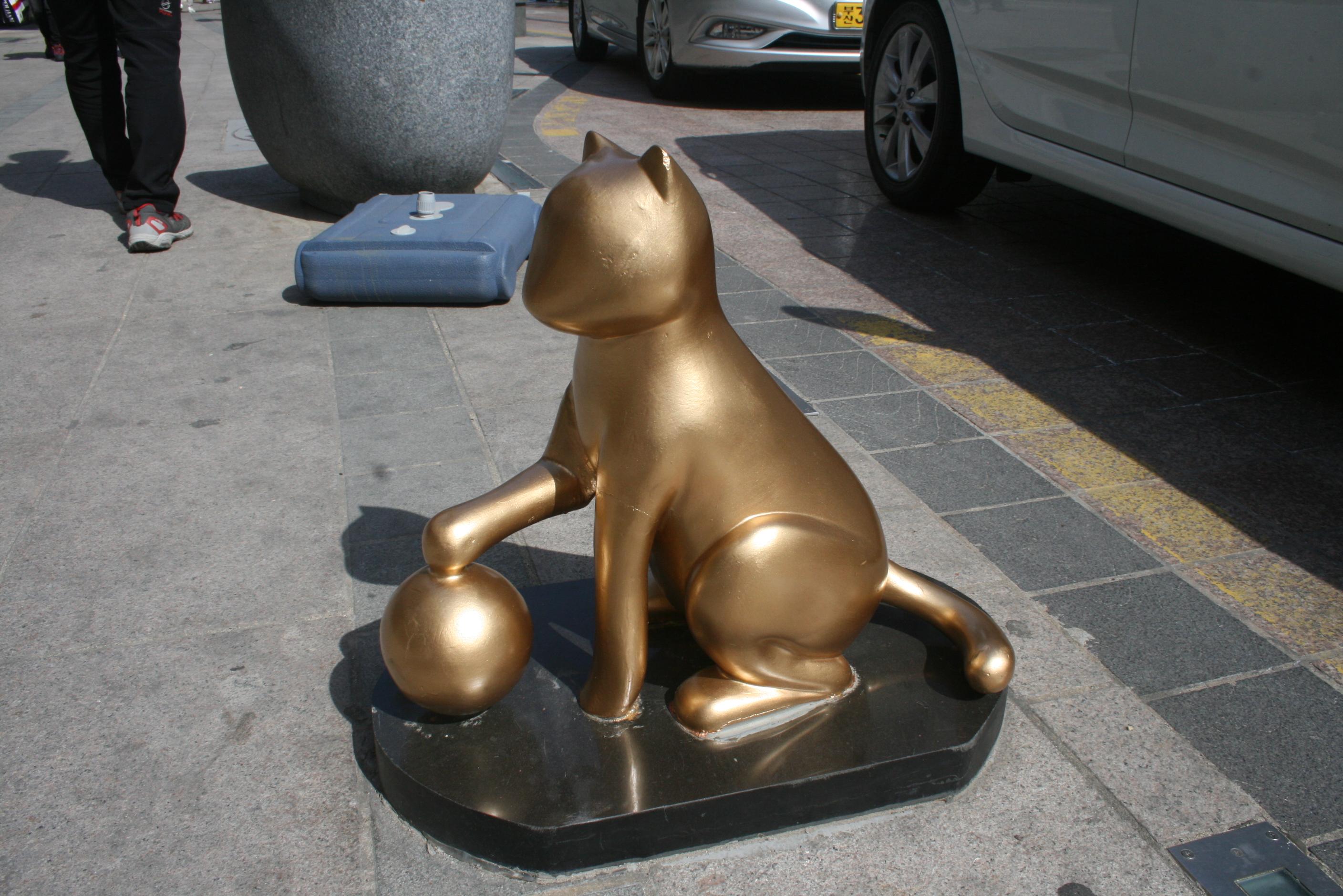 고양이 설치사진