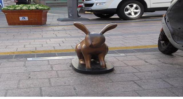 토끼 설치사진