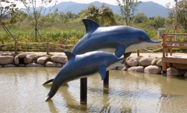 Dolphin 2004 설치사진