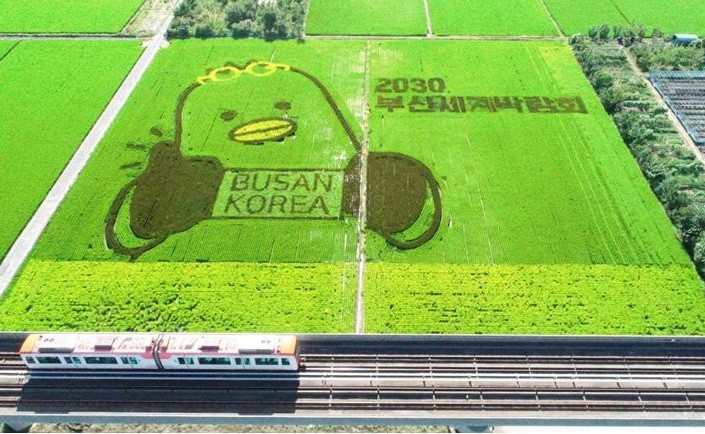 Rice paddy art expresses Expo hopes