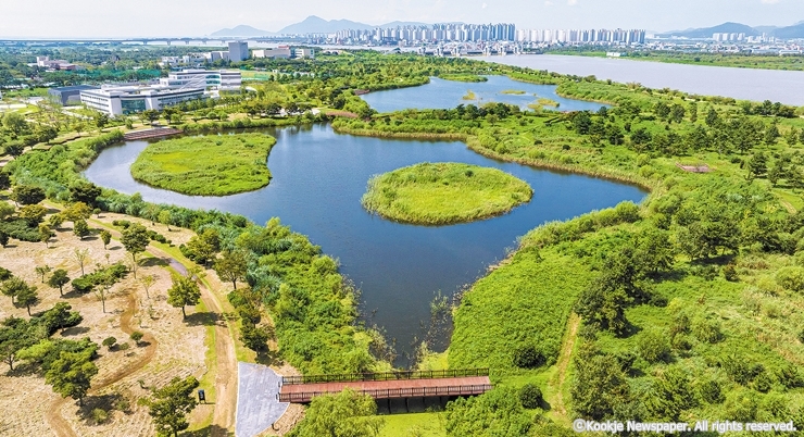 8-4cw24 을숙도생태공원-국제신문(상단하늘합성)